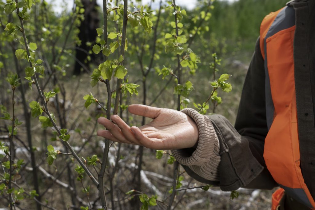 reforestation-done-by-voluntary-group (1)